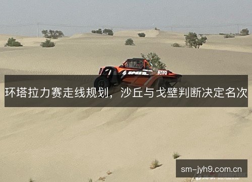 环塔拉力赛走线规划,沙丘与戈壁判断决定名次 环塔拉力赛走线规划,沙丘与戈壁判断决定名次